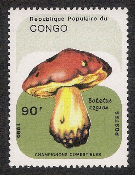 SETAS-HONGOS: 1.131.044,00-Boletus regius