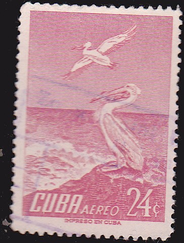 CORREO AEREO