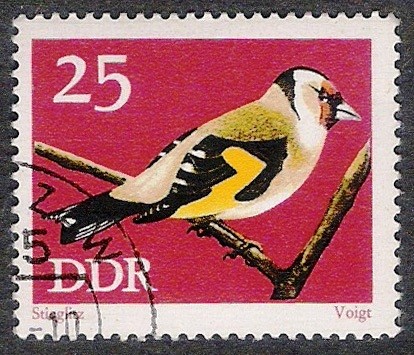 AVES: 2.152.105,01-carduelis carduelis -Phil.157951-Y&T.1535-Mch.1838-Sc.1457