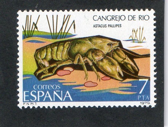 2532- ASTACUS PALIPES.  CANGREJO DE RIO