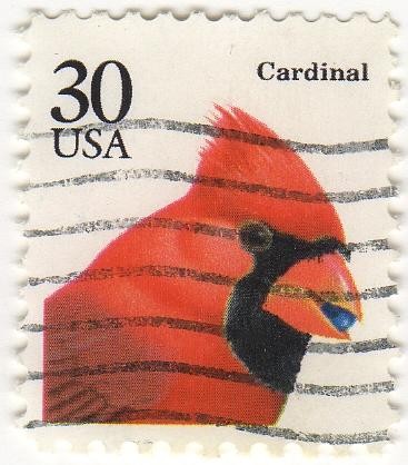 CARDINAL