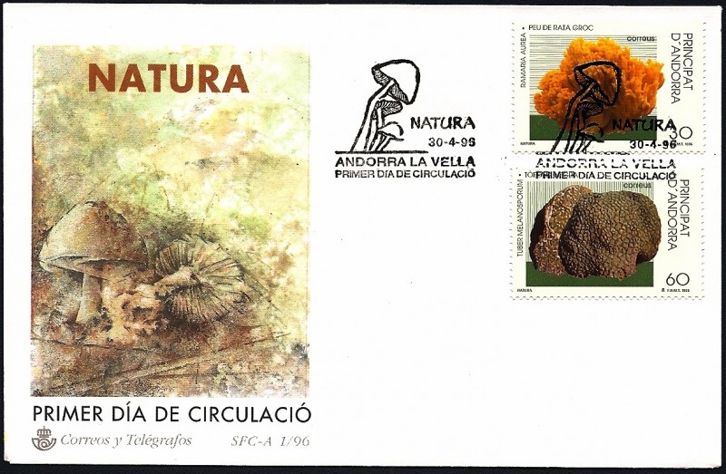 Naturaleza- Micología - SPD