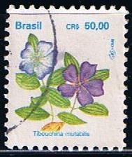 Tibouchina mutatalis