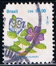 Tibouchina mutatalis (2)