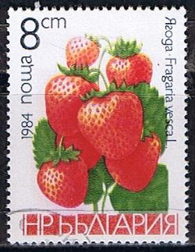 Scott  2966  Fresas (4)  RESERVADO