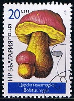 Scott  3233  Boletus regius