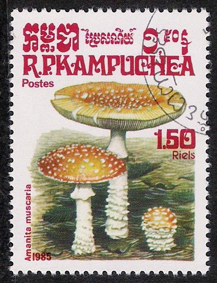 SETAS-HONGOS: 1.171.005,01-Amanita muscaria -Phil.49433-Dm.985.28-Y&T.580-Mch.652-Sc.572