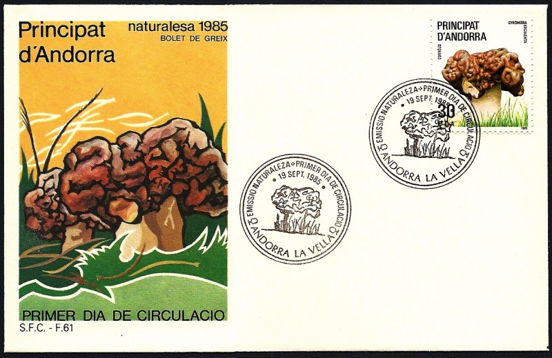 Micologia 1985 - Bolet de greix  -  SPD