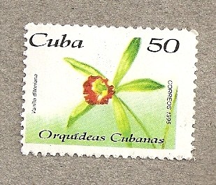 Orquideas cubanas