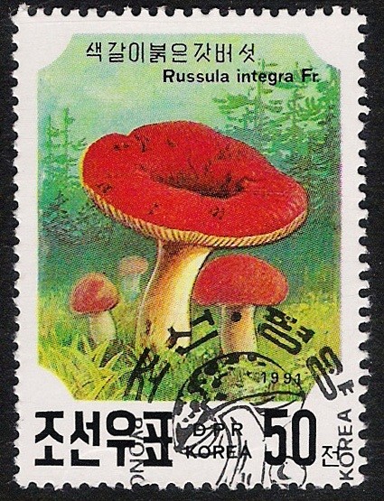 SETAS-HONGOS: 1.205.065,01-Russula integra -Phil.41636-Dm.991.27-Y&T.2221-Mch.3190-Sc.2987