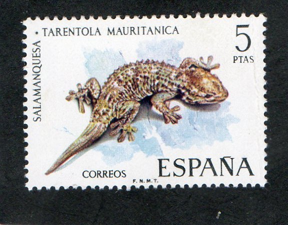  2194- FAUNA HISPANICA- SALAMANQUESA