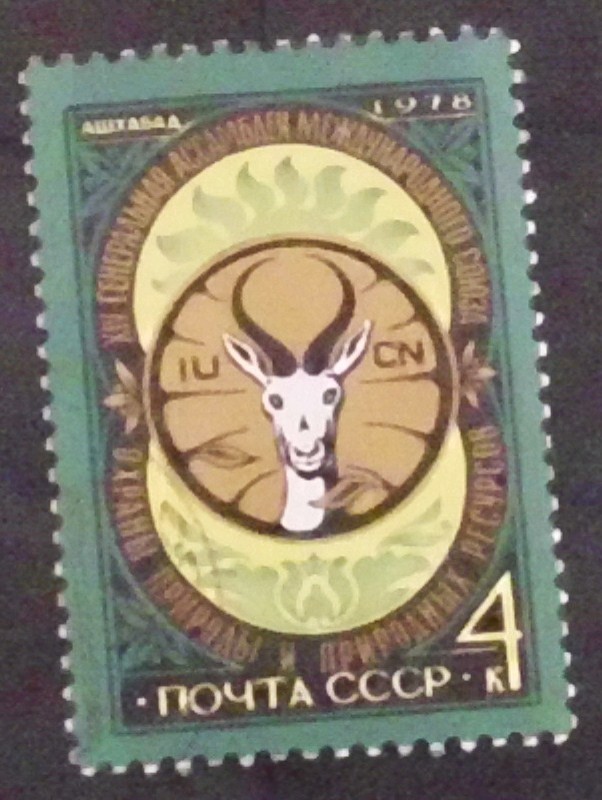 CCCP