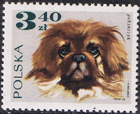 PERROS. PEKINÉS