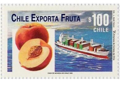  “CHILE EXPORTA FRUTA”