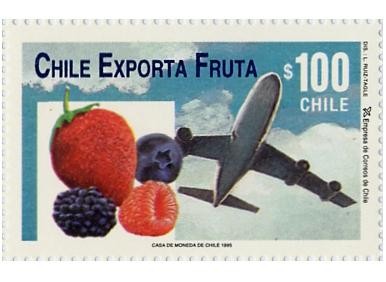  “CHILE EXPORTA FRUTA”