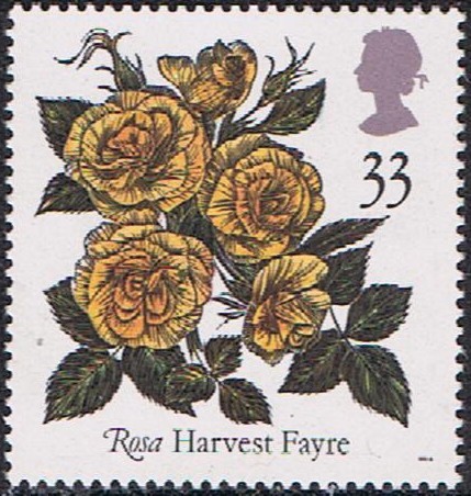 ROSAS. HARVEST FAYRE