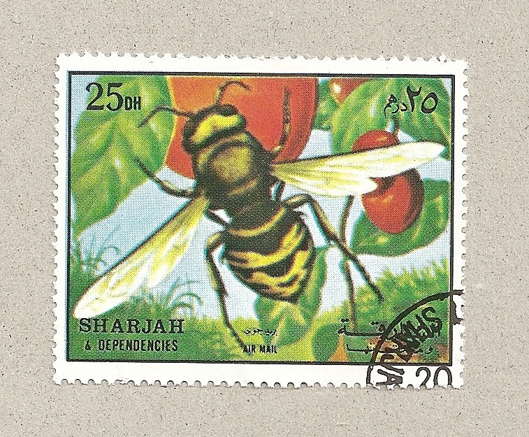 Abeja