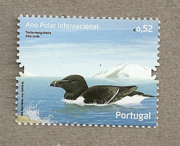 Año Polar Inernacional