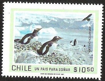 TURISMO - UN PAIS PARA SOÑAR - ANTARTICA CHILENA