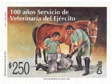 “100 AÑOS SERVICIO VETERINARIO DEL EJERCITO”