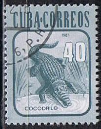 Scott  2462 Cocodrilo