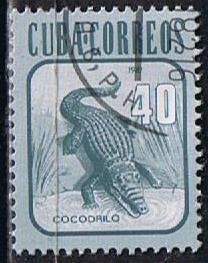 Scott  2462 Cocodrilo (2)