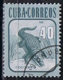 Scott  2462 Cocodrilo (3)