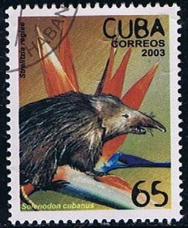 Scott  4213  Strelitzia regiae, Solenodon cubanus