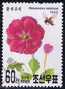 Scott  3112  Ranunculus asiaticus