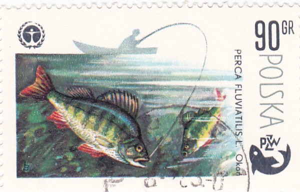 pesca