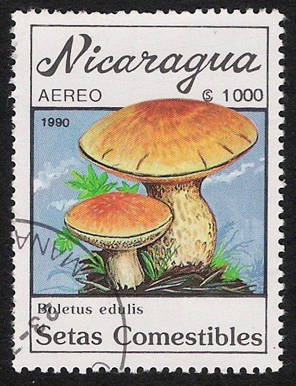 SETAS-HONGOS: 1.201.012,01-Boletus edulis -Dm.990.29-Y&T.A1315-Mch.3002