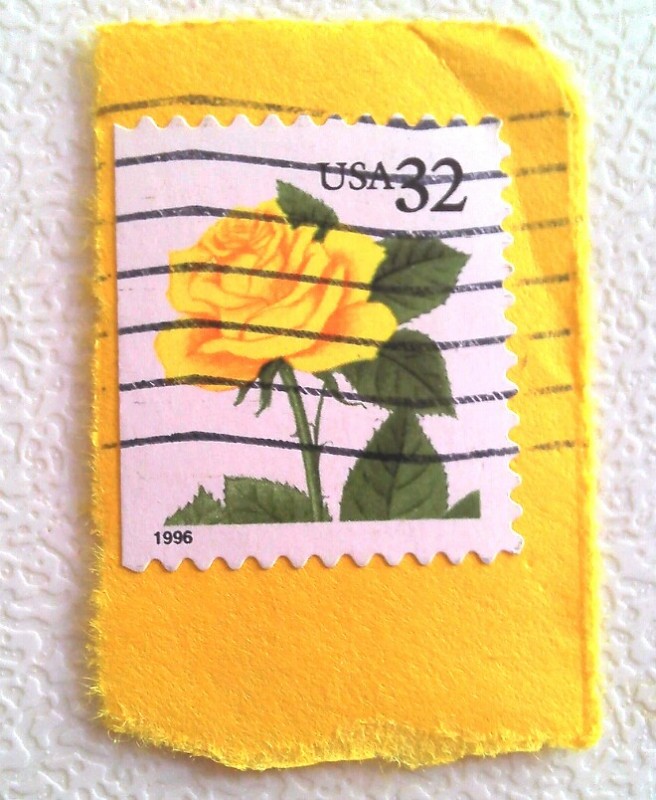 Yellow rose