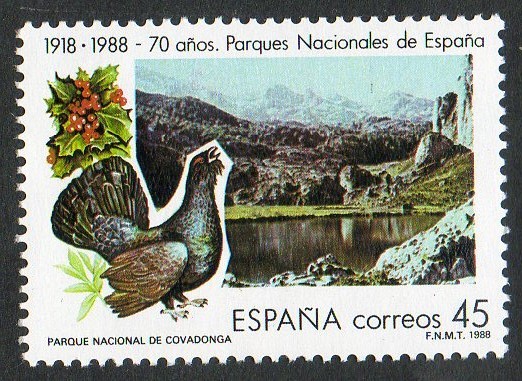 2937-  Turismo. Parques Nacionales. Covadonga.