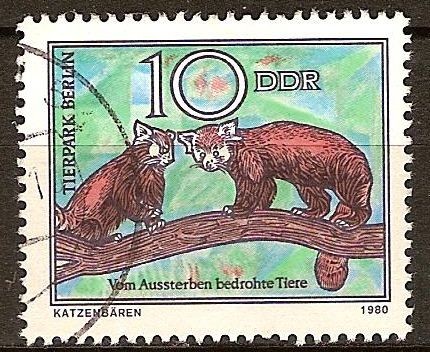 Animales en peligro de extinción- dos pandas,zoológico de Berlín(DDR)