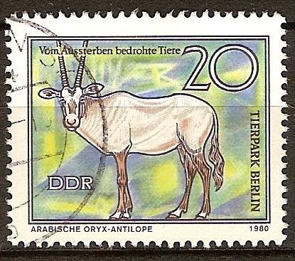 Animales en peligro de extinción-Oryx de Arabia,zoológico de Berlín(DDR)