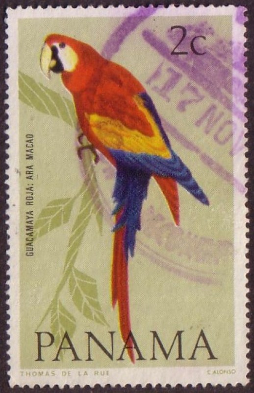 Guacamaya Roja