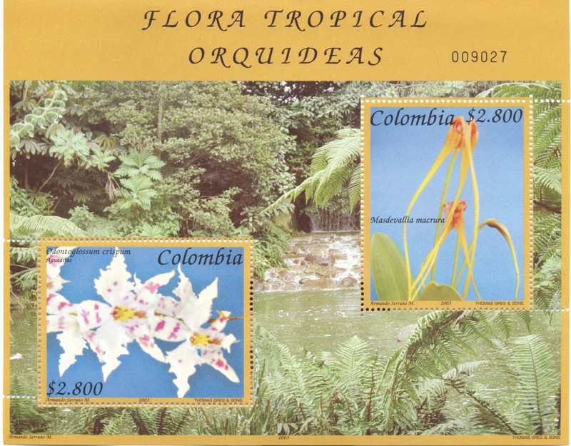 Flora tropical, Orquideas