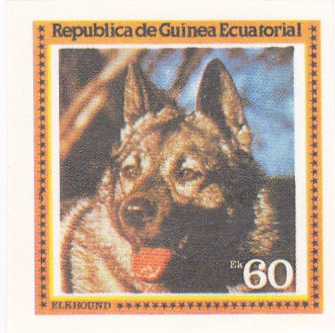 perros-Elkhound