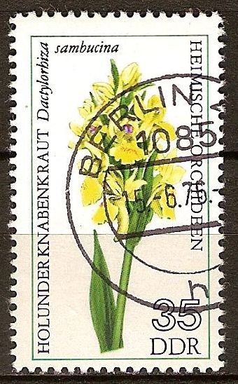 Orquídeas nativas.-Flor de saúco de orquídeas(DDR)