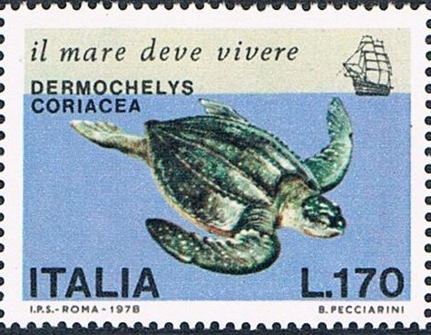 SALVAGUARDA DEL MAR. FAUNA MARITIMA DEL MEDITERRÁNEO EN VIAS DE EXTINCIÓN. DERMOCHELYS CORIACEA. Y&T