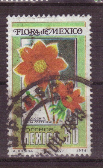 serie- Flora de Mexico