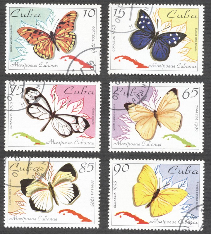 Mariposas Cubanas