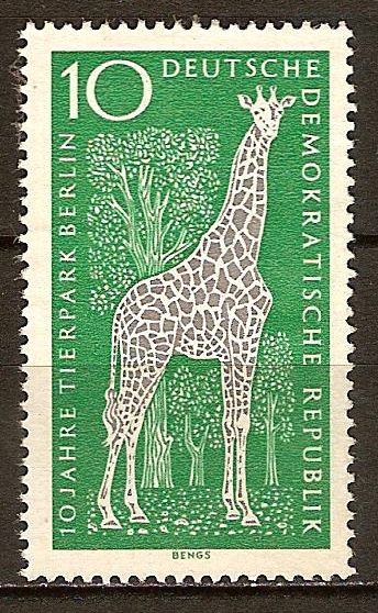 10a Aniv del  zoo de Berlín. Jirafa (DDR).