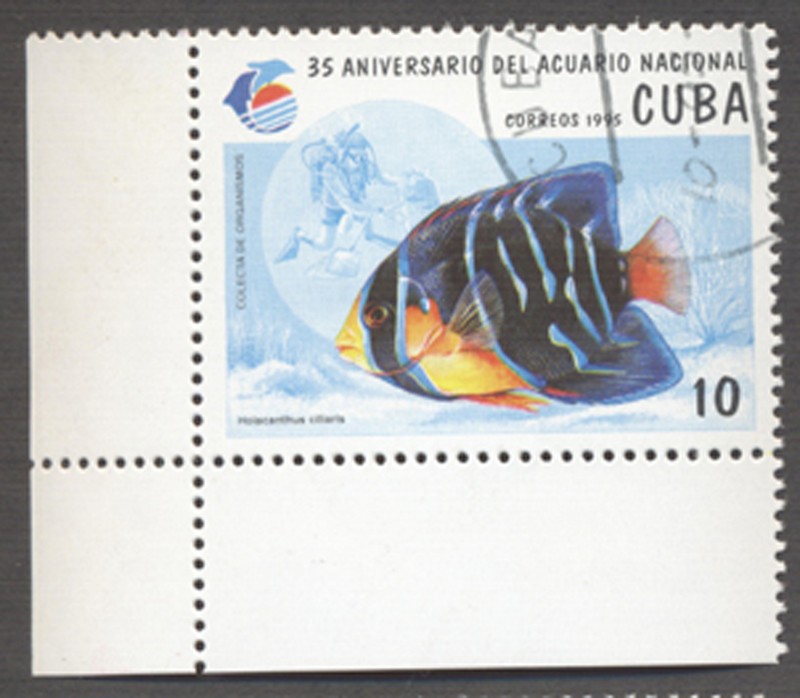 35 Aniversario del acuario nacional