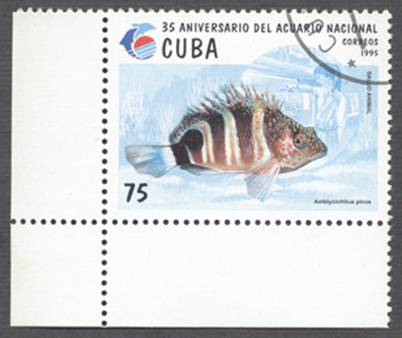 35 Aniversario del acuario nacional