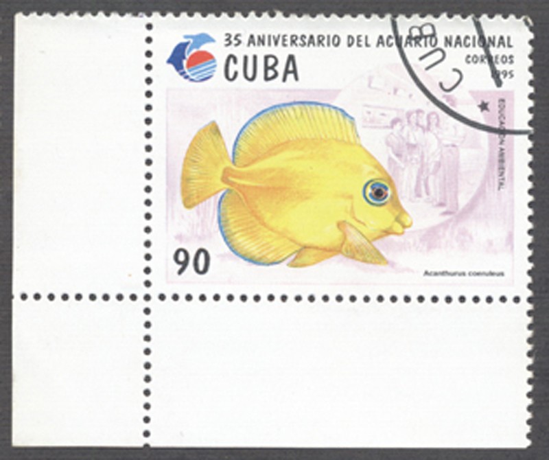 35 Aniversario del acuario nacional