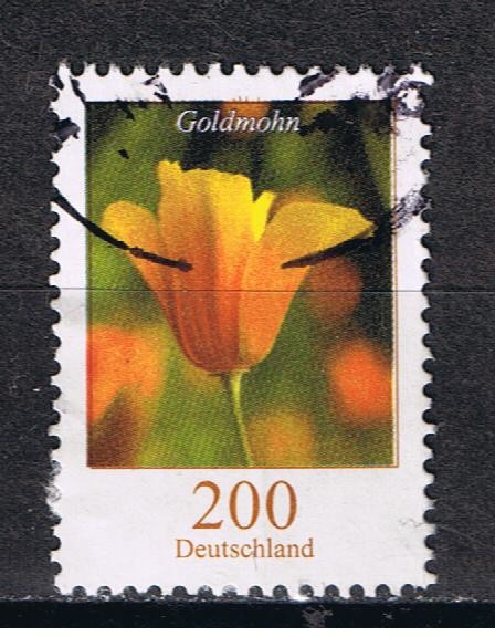 Goldmohn