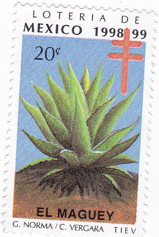 Loteria de Mexico 1998-99 -EL MAGUEY