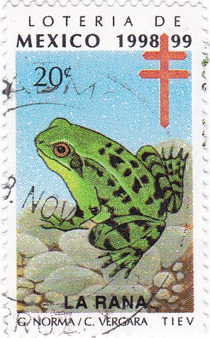 Loteria de Mexico 1998-99 -LA RANA