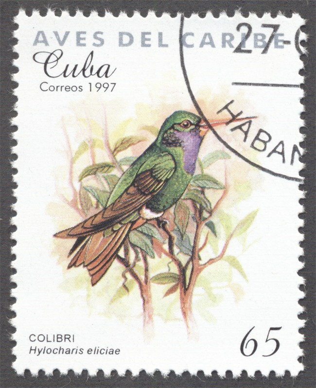 Aves del Caribe